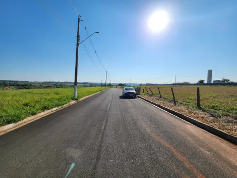 Comprar Terreno / Padr&atilde;o em Cedral R$ 75.000,00 - Foto 5