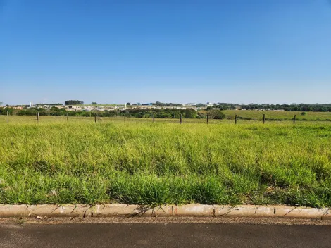 Comprar Terreno / Padr&atilde;o em Cedral R$ 75.000,00 - Foto 2
