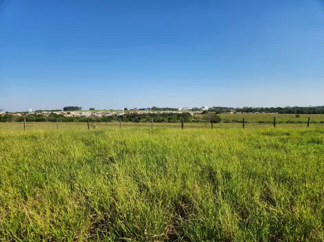 Comprar Terreno / Padr&atilde;o em Cedral R$ 75.000,00 - Foto 3