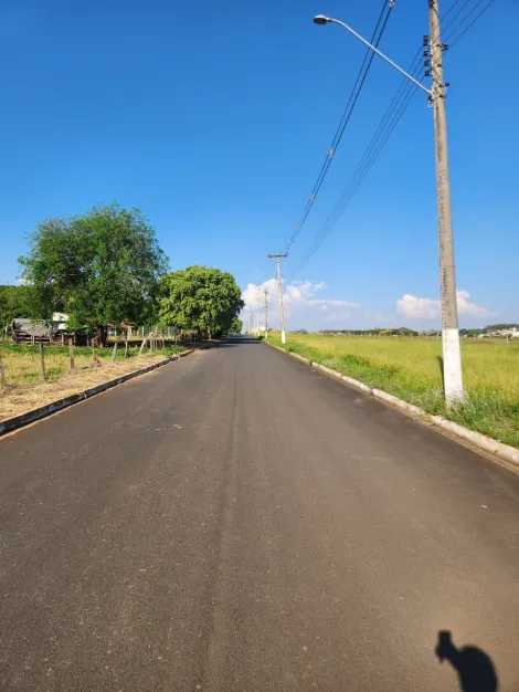 Comprar Terreno / Padr&atilde;o em Cedral R$ 75.000,00 - Foto 4