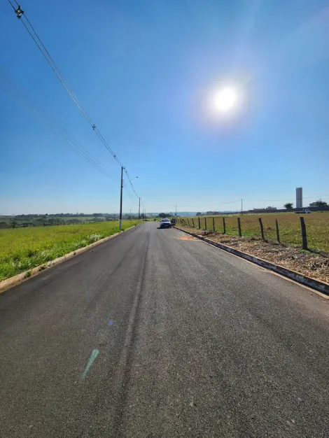 Comprar Terreno / Padr&atilde;o em Cedral R$ 75.000,00 - Foto 5
