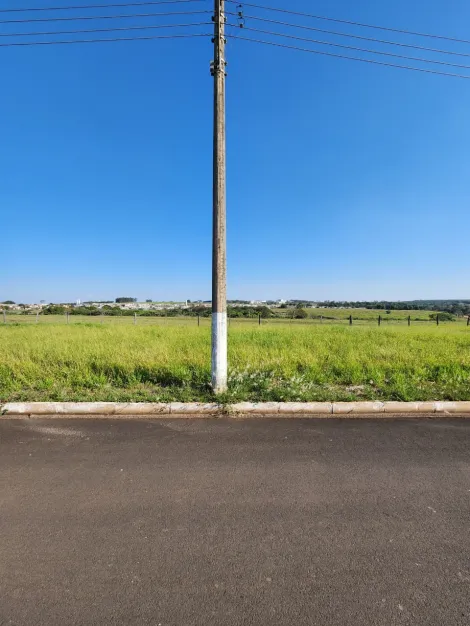 Terreno / Padr&atilde;o em Cedral , Comprar por R$96.000,00