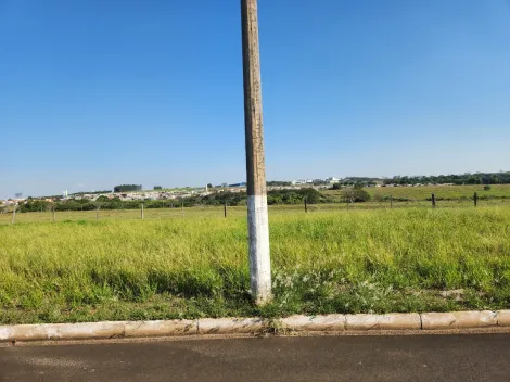 Comprar Terreno / Padr&atilde;o em Cedral R$ 96.000,00 - Foto 2