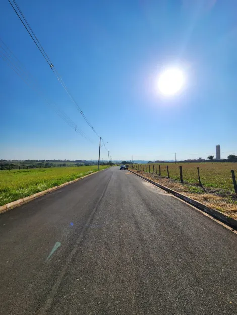 Comprar Terreno / Padr&atilde;o em Cedral R$ 96.000,00 - Foto 4