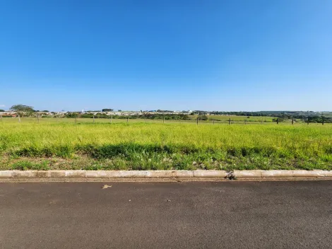 Terreno / Padr&atilde;o em Cedral , Comprar por R$68.000,00
