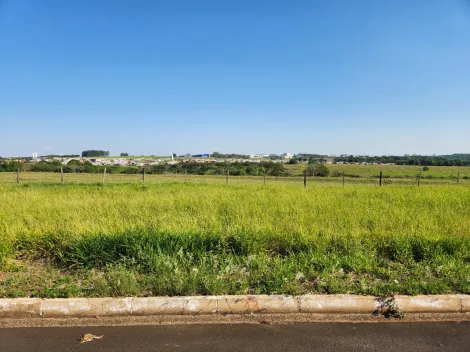 Comprar Terreno / Padr&atilde;o em Cedral R$ 68.000,00 - Foto 2