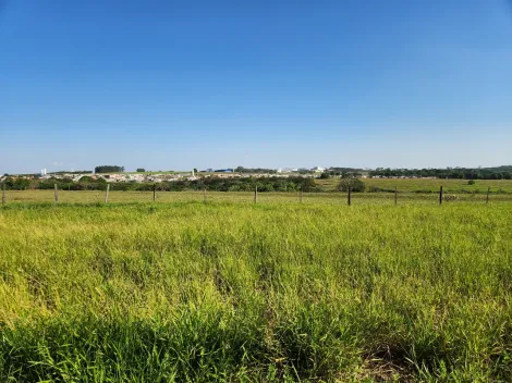 Comprar Terreno / Padr&atilde;o em Cedral R$ 68.000,00 - Foto 3
