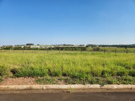 Comprar Terreno / Padr&atilde;o em Cedral R$ 68.000,00 - Foto 2