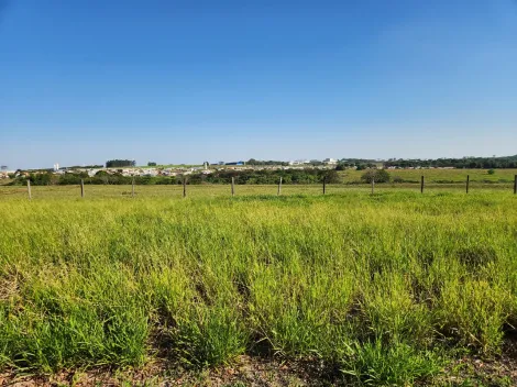 Comprar Terreno / Padr&atilde;o em Cedral R$ 68.000,00 - Foto 3