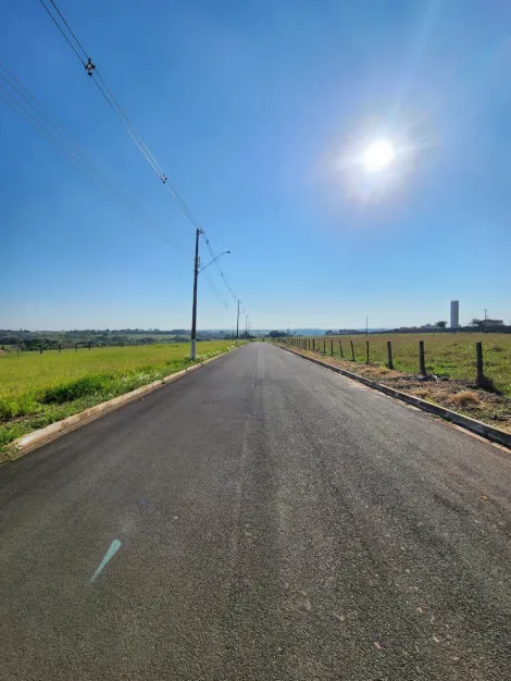 Comprar Terreno / Padr&atilde;o em Cedral R$ 68.000,00 - Foto 4