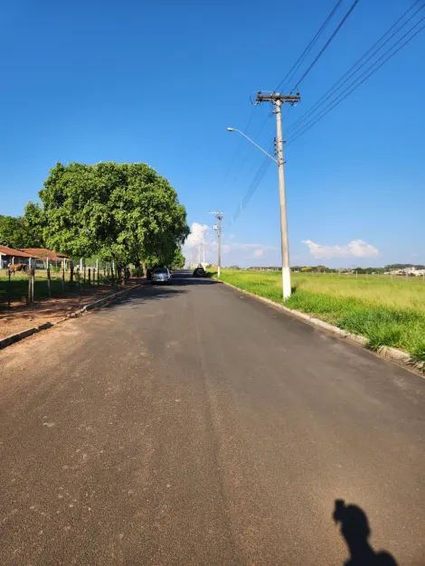 Comprar Terreno / Padr&atilde;o em Cedral R$ 68.000,00 - Foto 5