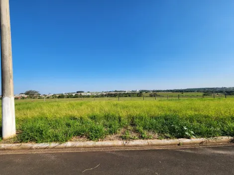 Terreno / Padr&atilde;o em Cedral , Comprar por R$68.000,00