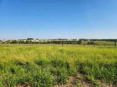 Comprar Terreno / Padr&atilde;o em Cedral R$ 68.000,00 - Foto 2