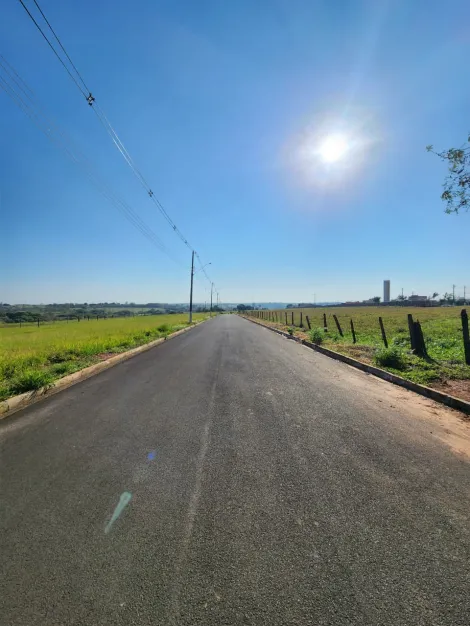 Comprar Terreno / Padr&atilde;o em Cedral R$ 68.000,00 - Foto 3
