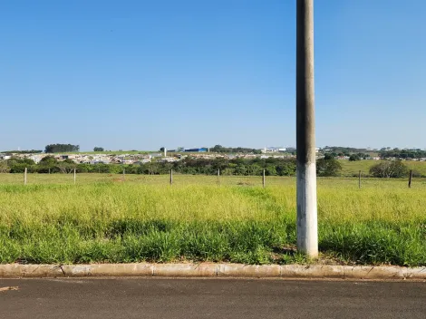 Terreno / Padr&atilde;o em Cedral , Comprar por R$68.000,00