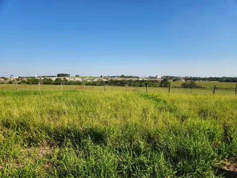 Comprar Terreno / Padr&atilde;o em Cedral R$ 68.000,00 - Foto 2