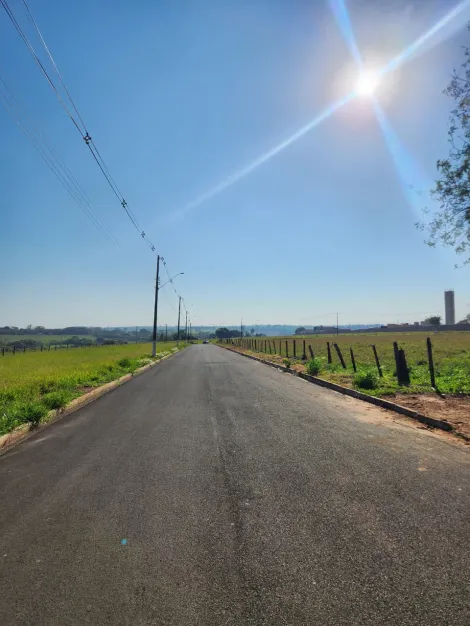 Comprar Terreno / Padr&atilde;o em Cedral R$ 68.000,00 - Foto 3