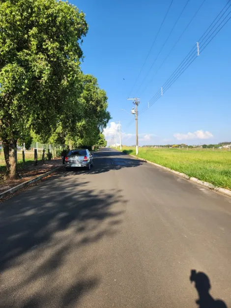 Comprar Terreno / Padr&atilde;o em Cedral R$ 68.000,00 - Foto 4
