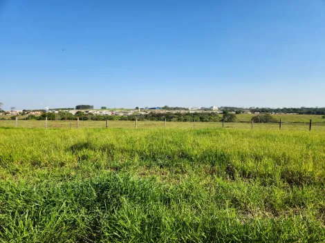 Terreno / Padr&atilde;o em Cedral , Comprar por R$68.000,00