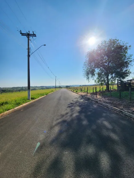 Comprar Terreno / Padr&atilde;o em Cedral R$ 68.000,00 - Foto 2