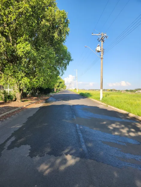 Comprar Terreno / Padr&atilde;o em Cedral R$ 68.000,00 - Foto 3