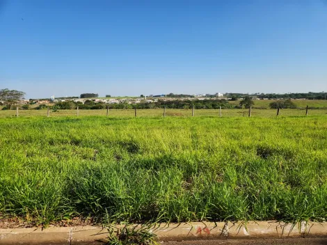 Comprar Terreno / Padr&atilde;o em Cedral R$ 68.000,00 - Foto 2