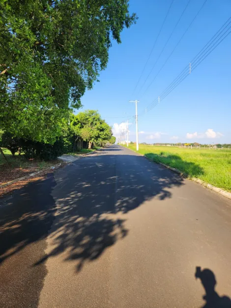 Comprar Terreno / Padr&atilde;o em Cedral R$ 68.000,00 - Foto 3