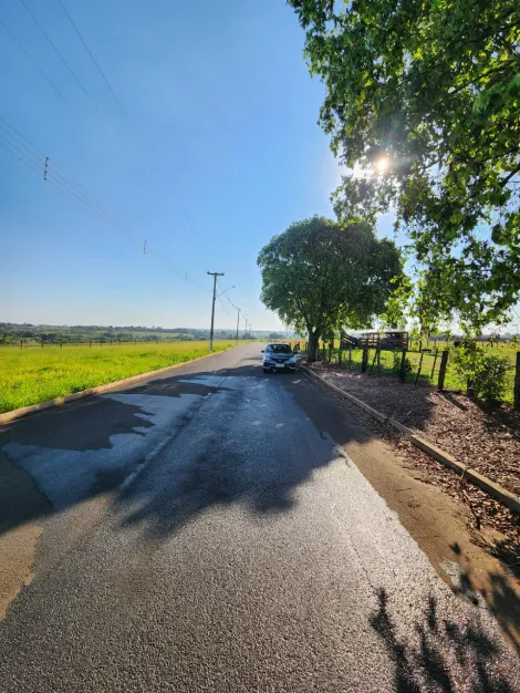 Comprar Terreno / Padr&atilde;o em Cedral R$ 68.000,00 - Foto 4