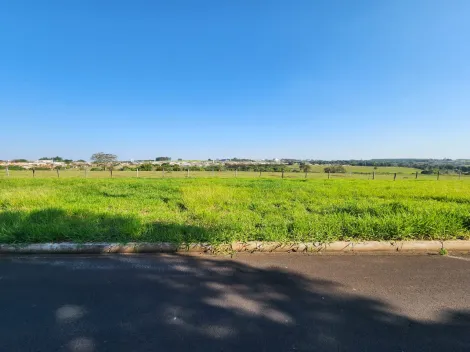 Terreno / Padr&atilde;o em Cedral , Comprar por R$68.000,00