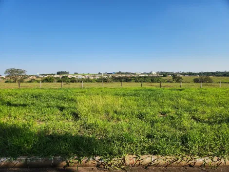 Comprar Terreno / Padr&atilde;o em Cedral R$ 68.000,00 - Foto 2