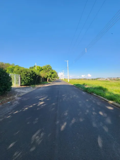Comprar Terreno / Padr&atilde;o em Cedral R$ 68.000,00 - Foto 3