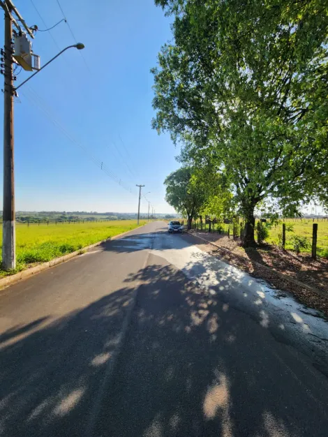 Comprar Terreno / Padr&atilde;o em Cedral R$ 68.000,00 - Foto 4