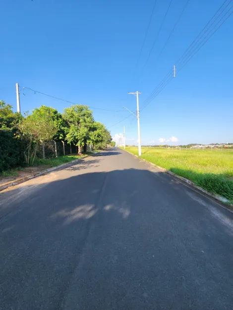 Comprar Terreno / Padr&atilde;o em Cedral R$ 68.000,00 - Foto 2