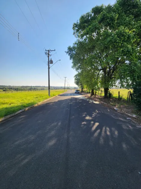 Comprar Terreno / Padr&atilde;o em Cedral R$ 68.000,00 - Foto 3