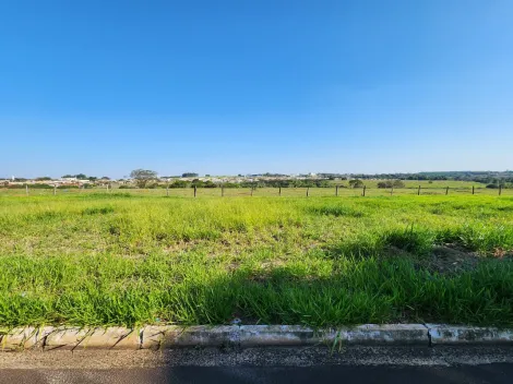 Terreno / Padr&atilde;o em Cedral , Comprar por R$68.000,00