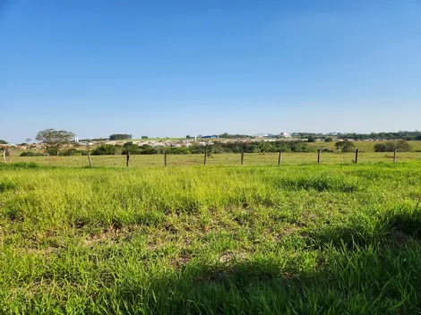 Comprar Terreno / Padr&atilde;o em Cedral R$ 68.000,00 - Foto 2