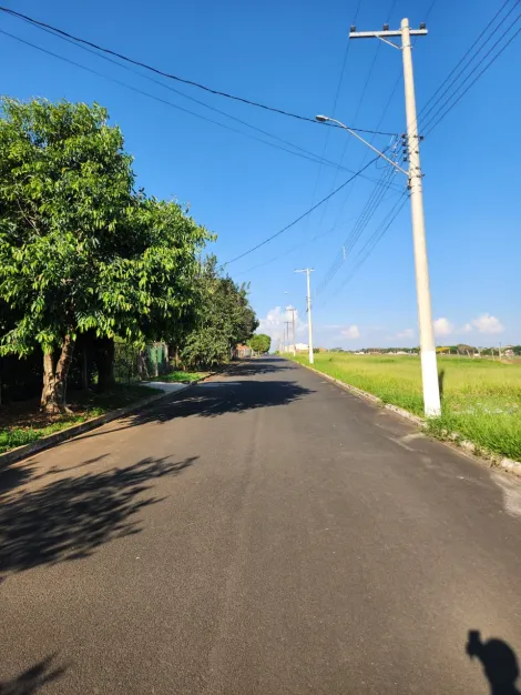 Comprar Terreno / Padr&atilde;o em Cedral R$ 68.000,00 - Foto 3