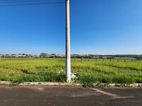 Alugar Terreno / Padr&atilde;o em Cedral. apenas R$ 96.000,00