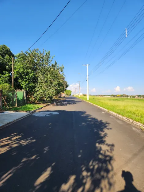 Comprar Terreno / Padr&atilde;o em Cedral R$ 96.000,00 - Foto 3