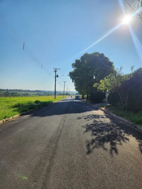 Comprar Terreno / Padr&atilde;o em Cedral R$ 96.000,00 - Foto 4
