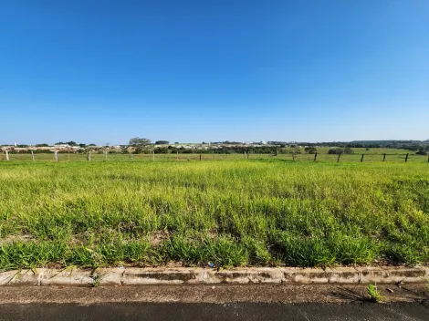 Alugar Terreno / Padr&atilde;o em Cedral. apenas R$ 79.000,00