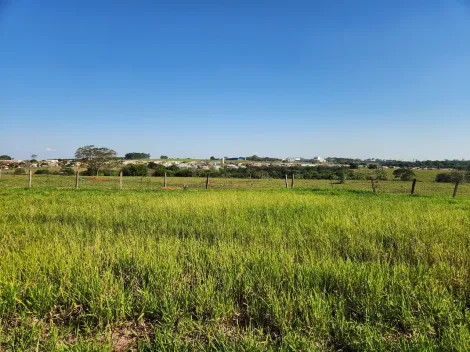 Comprar Terreno / Padr&atilde;o em Cedral R$ 79.000,00 - Foto 2