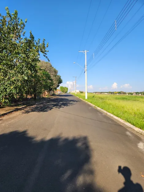 Comprar Terreno / Padr&atilde;o em Cedral R$ 79.000,00 - Foto 3