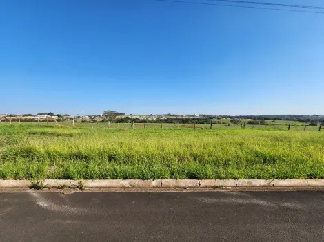 Alugar Terreno / Padr&atilde;o em Cedral. apenas R$ 75.000,00