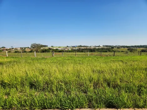 Comprar Terreno / Padr&atilde;o em Cedral R$ 75.000,00 - Foto 2
