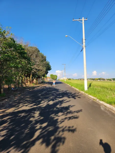 Comprar Terreno / Padr&atilde;o em Cedral R$ 75.000,00 - Foto 3