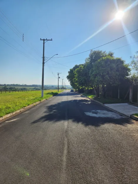 Comprar Terreno / Padr&atilde;o em Cedral R$ 75.000,00 - Foto 4