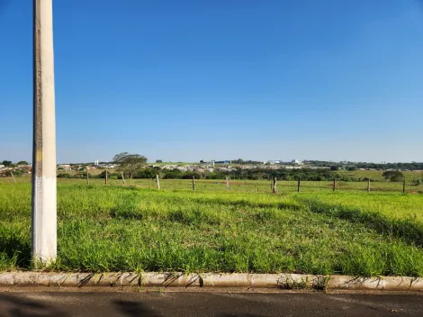 Alugar Terreno / Padr&atilde;o em Cedral. apenas R$ 75.000,00