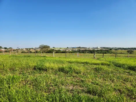 Comprar Terreno / Padr&atilde;o em Cedral R$ 75.000,00 - Foto 2