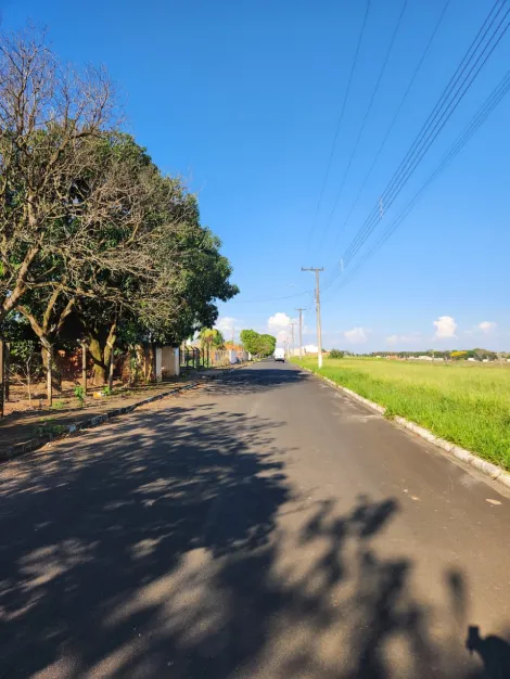 Comprar Terreno / Padr&atilde;o em Cedral R$ 75.000,00 - Foto 3